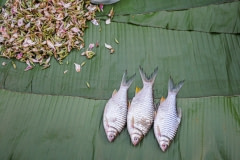 Fish for sale. Laos, 2008.