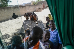 Horse pulling a trailer. Senegal, 2013.