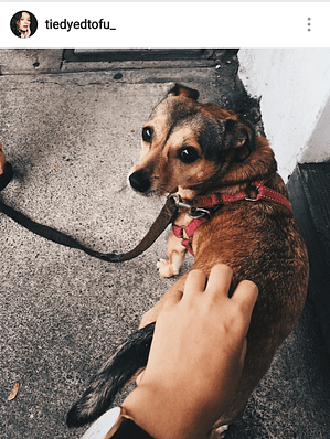 “There are so many stories I hear that need to be told. Especially in this world where the line between truth and lies have blurred. On racism, on animal rights, on politics, on life.”