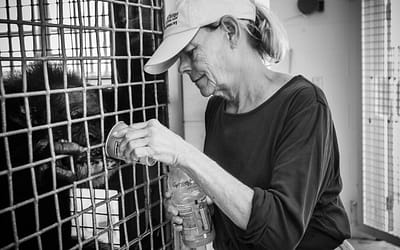 Dr. Carole Noon