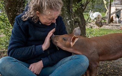 Sarah Heiligtag, Founder of Transfarmation