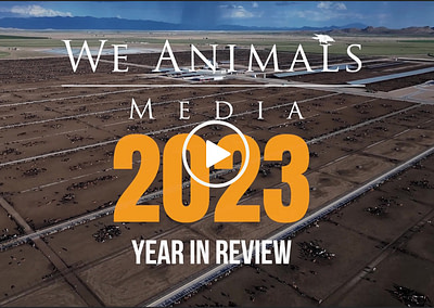 2023: A Year In Review