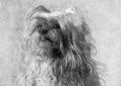Elizabeth Stuart Phelps