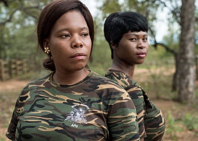 The Black Mambas