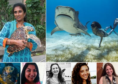 Seven Women Protecting Oceans and Sea Life