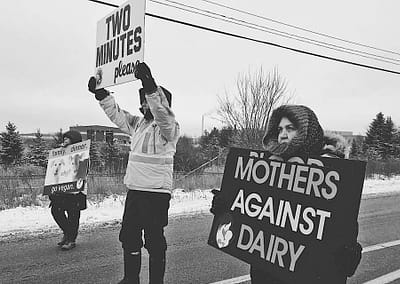 Mothers Against Dairy