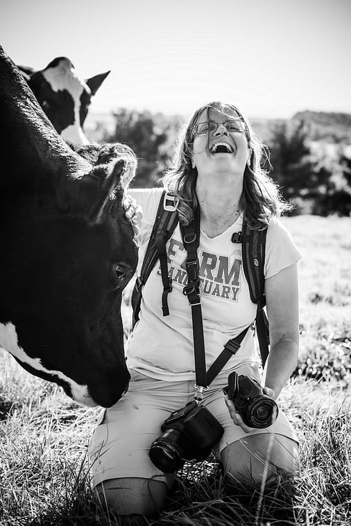 Anita Krajnc with a rescued cow at Farm Sanctuary. USA, 2013.