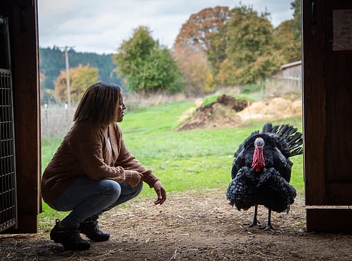 Erin Wing, Deputy Director of Investigations at the animal advocacy NGO Animal Outlook, spends time with Clover at Wildwood Farm Sanctuary & Preserve. Photo: Jo-Anne McArthur / #unboundproject / We Animals Media