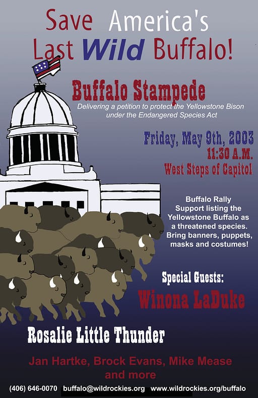 Buffalo Field Campaign flyer