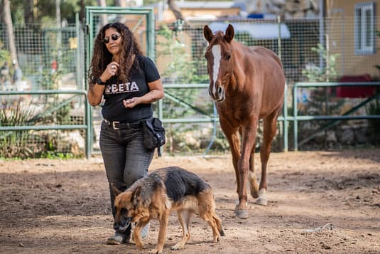 Helena Hesayne from Beirut Ethical Treatment for Animals walks along a horse and a dog at the shelter.