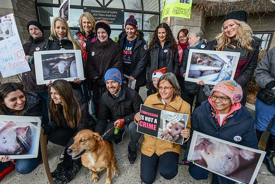 Anita Krajnc with supporters, after the court case against her for giving water to thirsty pigs in transport. Canada, 2015.