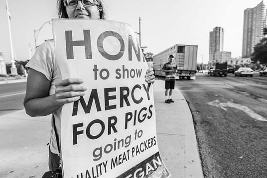 Anita Krajnc holding a sign during a Toronto Pig Save vigil. Canada, 2013.