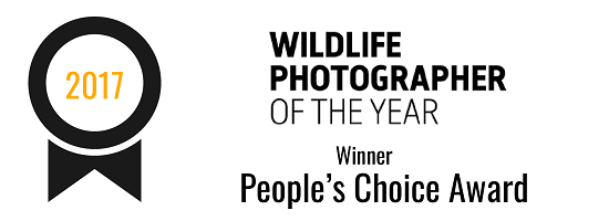 Wildlife Photographer of the Year | People’s Choice Award: Winner (2017)