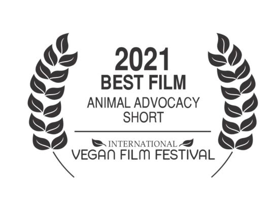 2021 International Vegan Film Festival | Best Film: Animal Advocacy - Short