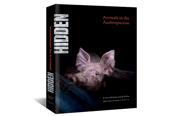 HIDDEN: Animals in the Anthropocene - Foreword by Joaquin Phoenix