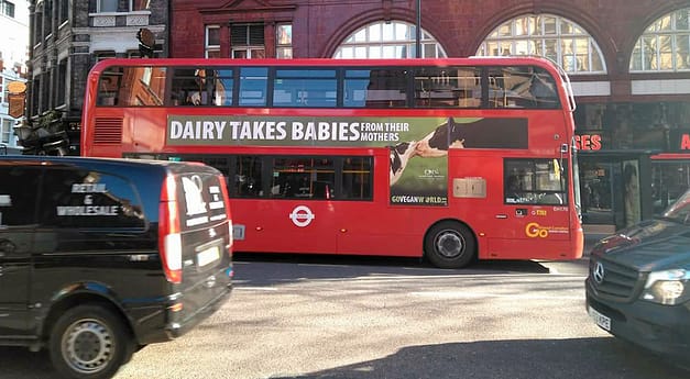 Leicester Square, London. Photo courtesy of Go Vegan World.