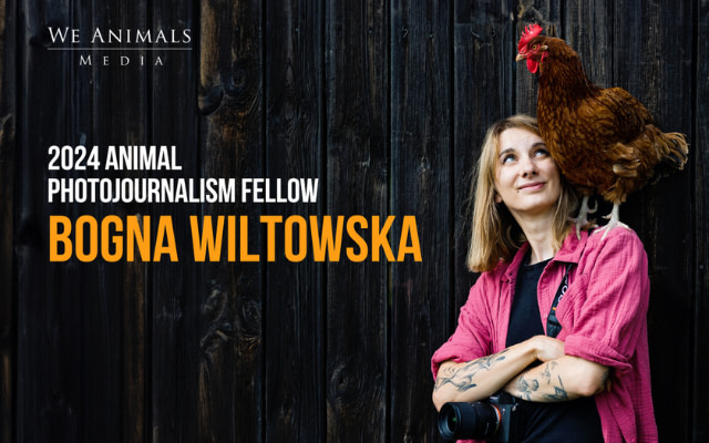 Announcing Our 2024 Animal Photojournalism Fellows - Bogna Wiltowska