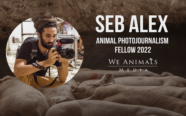Announcing The 2022 Animal Photojournalism Fellow: Seb Alex