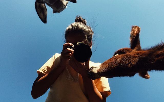 Havva Zorlu’s 2023 Animal Photojournalism Fellowship
