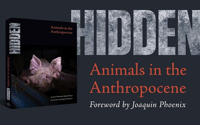 HIDDEN: Animals in the Anthropocene (We Animals Media, 2020)