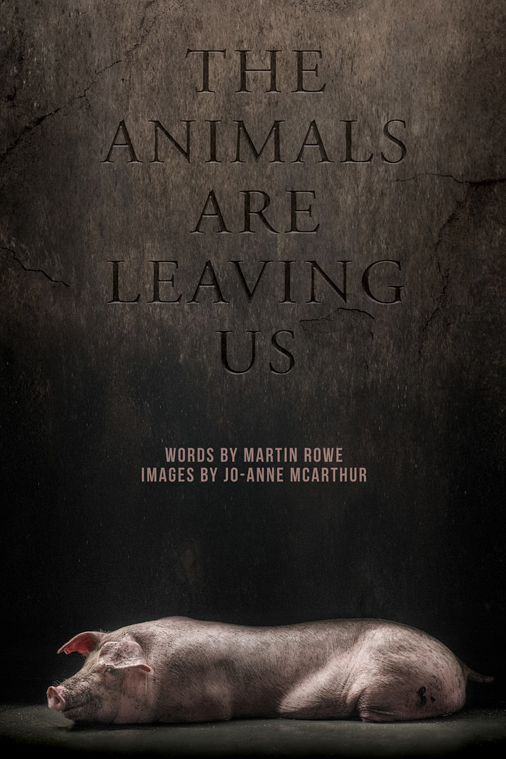 McArthur and Rowe - The Animals Are Leaving Us - Front Cover