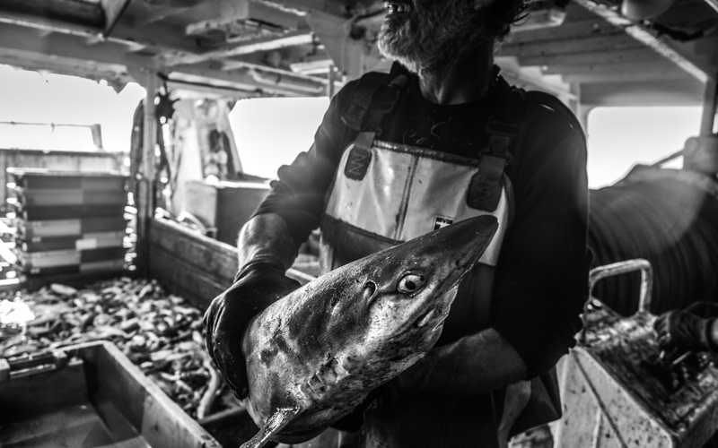 FishingTrawler_FrenchMediterraneanSea_SMagnolia_20180601-1657