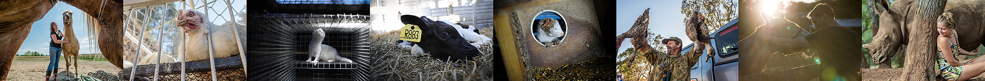 HeaderImage06