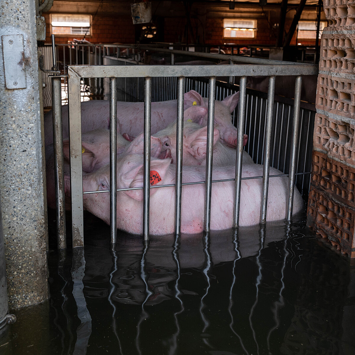 Our Top 10 Images For Earth Day